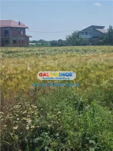 VANZARE TEREN INTRAVILAN 10000 MP  COMUNA BERCENI - foto 2