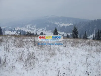 Teren pentru Complex Turistic - 12 730 mp  - Vatra Dornei - foto 7