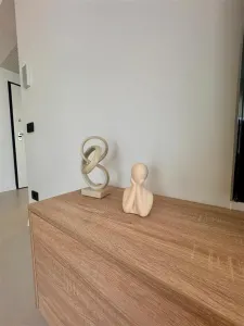 Vanzare apartamet 2 camere bloc nou, Paulesti - foto 13