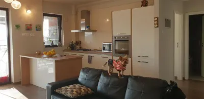 Inchiriere  apartament  2 camere Ploiesti, zona Albert - foto 19