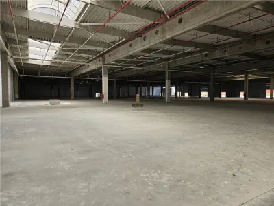 Spatiu Industrial - 9500 mp - Logistica - Productie - Depozitare - Distributie - foto 4