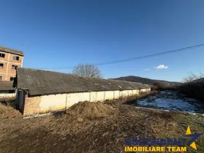 Spatiu Industrial multifunctional: productie, depozitare,logistica, Raciu,Mures. - foto 3