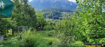 Complex turistic,afacere la cheie,3 vile, teren 7.700 mp,panouri fotovoltaice,Plaiu Foii Piatra Craiului - foto 12