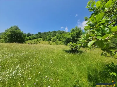 Teren 1.450 mp intravilan, la DN, cu priveliste de carte postala, Bran, Moieciu, Brasov - foto 10