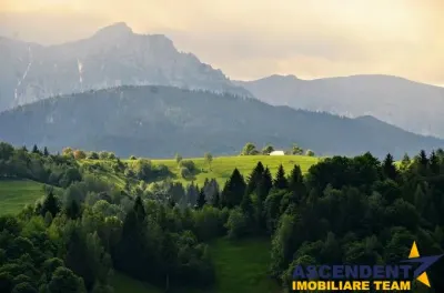 Cu vedere panoramica la Bucegi Bran-Moieciu - Moieciu de Jos