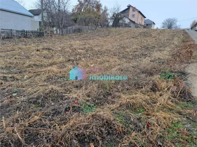 Teren intravilan 1610 mp Sf. Ilie - foto 2