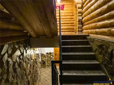 Linie HoReCa, Moieciu, Bran, Brasov - foto 11