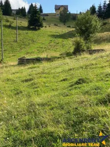 8.000 mp teren, Bran, Fundata, Brasov - foto 9
