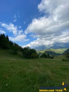 8.000 mp teren, Fundata - foto 6