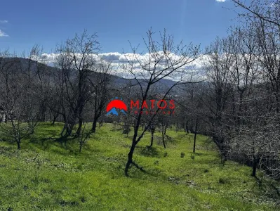 Casa de vanzare Comarnic Ghiosesti | 3.025 mp | 49.000 € FIX | 0% comision - foto 4
