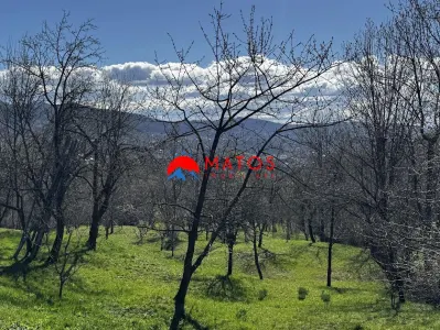 Casa de vanzare Comarnic Ghiosesti | 3.025 mp | 49.000 € FIX | 0% comision - foto 8