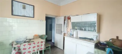 GARA CENTRU PIATA UNIRII TEREN 377 MP CU CASA - foto 6