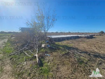 SUPER-PRET Teren 5000mp langa case in Sabareni - foto 3