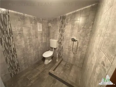Spatiu comercial, birouri, depozitare de inchiriat in Doamna Ghica - foto 14