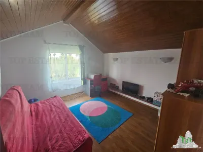 Casa de vacanta in Delta Neajlovului - foto 9