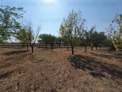 Teren intravilan agricol si teren curti constructii Lot 2 Parcela A326/49 - foto 2
