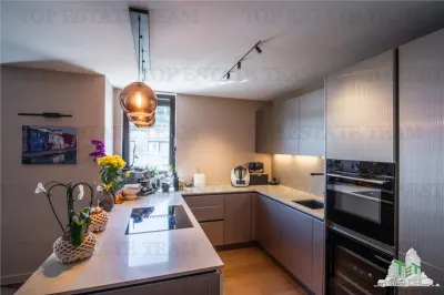 Penthouse 4 camere cu terasa de vanzare in zona Nordului Bucuresti - foto 9