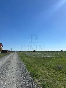 Teren - Mosnita Veche - Toate Utilitatile in apropiere - Mosnita Veche