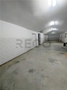 RECO Pensiune / azil cu 2 etaje si hala mare in Ineu de Cris - foto 23
