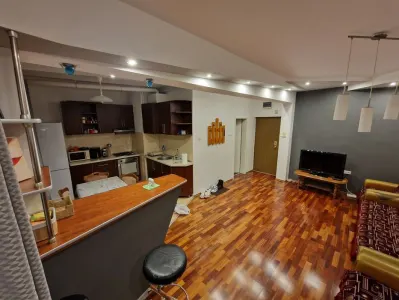 Apartament 2 camere zona Judetean,mobilat-utilat,119000 Euro - foto 5