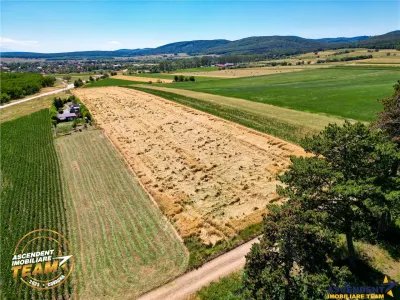 FILM! Valea Crisului,2.300mp,in vecinatatea lacului,aproape de Sfantu Gheorghe - foto 3