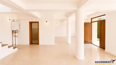 Nivel in casa, recomandat si activitati birou,  Tractorul , Brasov - foto 14
