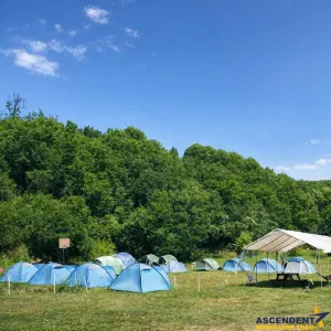 Transilvania Camping, domeniu de 14.400mp,Sanmarghita de Mures:2cladiri, apartamente,potential exceptional - foto 18