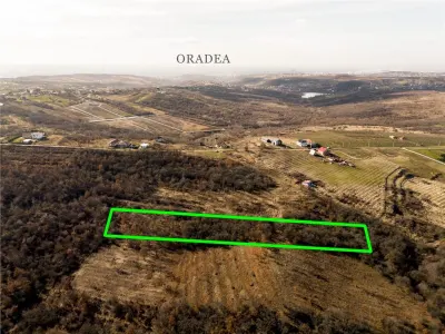 Reco Teren ideal pentru investitii- Saldabagiu de Munte - foto 4