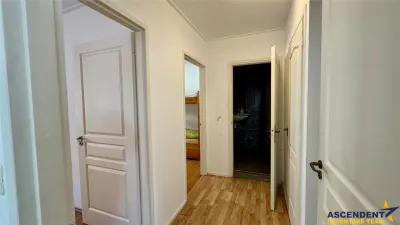 Transilvania Camping, domeniu de 14.400mp,Sanmarghita de Mures:2cladiri, apartamente,potential exceptional - foto 10
