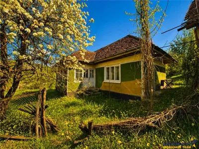 Casa traditionala,zona pitoreasca,domeniu de 3.400 mp,Suveica,Acatari,Mures - foto 10