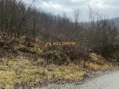 Teren intravilan 653 mp in Boldesti-Scaeni. - foto 4
