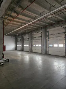 Spatiu Industrial - 9100 mp - Logistica - Productie - Depozitare - Distributie - foto 9