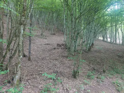 Teren in Bulzestii de Sus 2451mp - Bulzestii de Sus