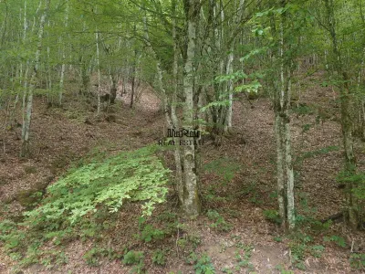 Teren in Bulzestii de Sus 710mp - foto 2