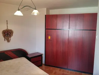 Inchiriere apartament  2 camere zona Piata Mihai Viteazul - foto 3