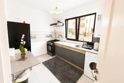 LIBER Apartament 1 camera D Tatarasi Gradinari  25 mp - foto 2