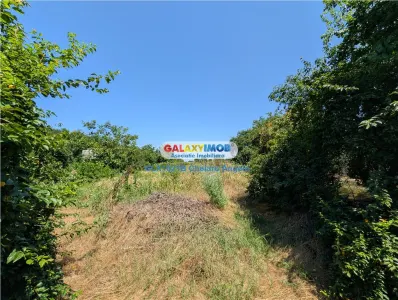 Ilfov,Lipia casă și teren 3000 mp, deschidere 20 ml - foto 14