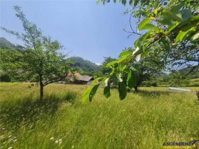 View superb:intravilan,constructie rezidenta/ hotel,2.327 mp,Moieciu de Jos, Bran - foto 22