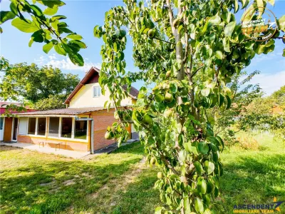 FILM!Areal apreciabil,casa+domeniu de 3.500mp,Sancraiu, aria Sfantu Gheorghe :  Brasov - foto 14