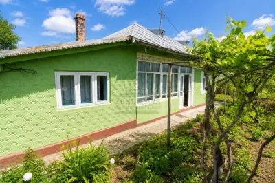 Casa batraneasca Raducaneni Iasi + 4300 mp teren, ASFALT ! - Raducaneni