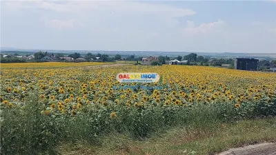 Oportunitate: CASA P+M, TEREN 10.000 mp.. Hutani Vladeni - foto 15