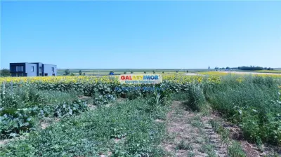 Oportunitate: CASA P+M, TEREN 10.000 mp.. Hutani Vladeni - foto 17