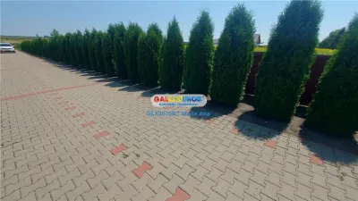 Oportunitate: CASA P+M, TEREN 10.000 mp.. Hutani Vladeni - foto 8