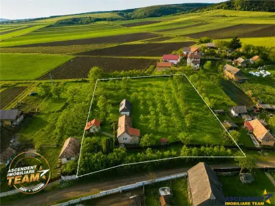 FILM! Oaza ta de liniste pe 0.5ha teren intravilan, Dalnic, Covasna - foto 20