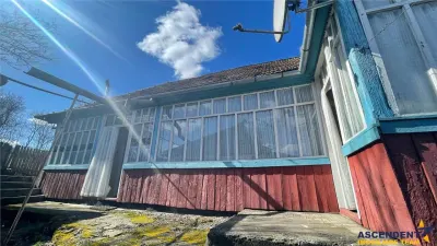 4.300 mp teren, pomicultura +casa traditionala, anexe, Craiesti, Mures - foto 14