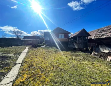 4.300 mp teren, pomicultura +casa traditionala, anexe, Craiesti, Mures - foto 15