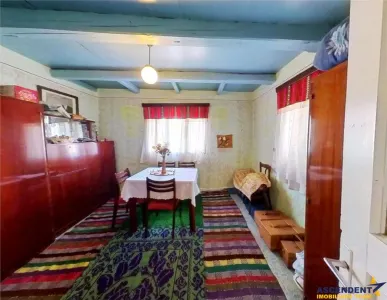 4.300 mp teren, pomicultura +casa traditionala, anexe, Craiesti, Mures - foto 7