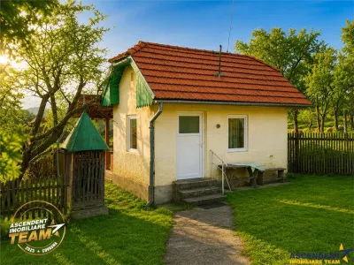 FILM! 5.000mp teren intravilan cu casuta rustica, Dalnic, Covasna - foto 17