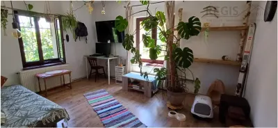 Apartament cochet,2 camere, ,cu gradina,la casa Ultracentral,Dealul Cetatii - Brasov