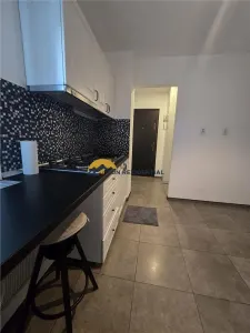Tineretului-Parc,apartament 2 camere,COMISION 0% - foto 14